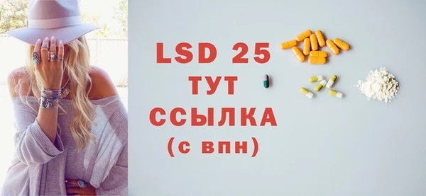 PSILOCYBIN Алзамай