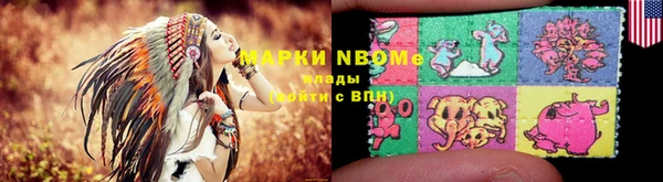 PSILOCYBIN Алзамай